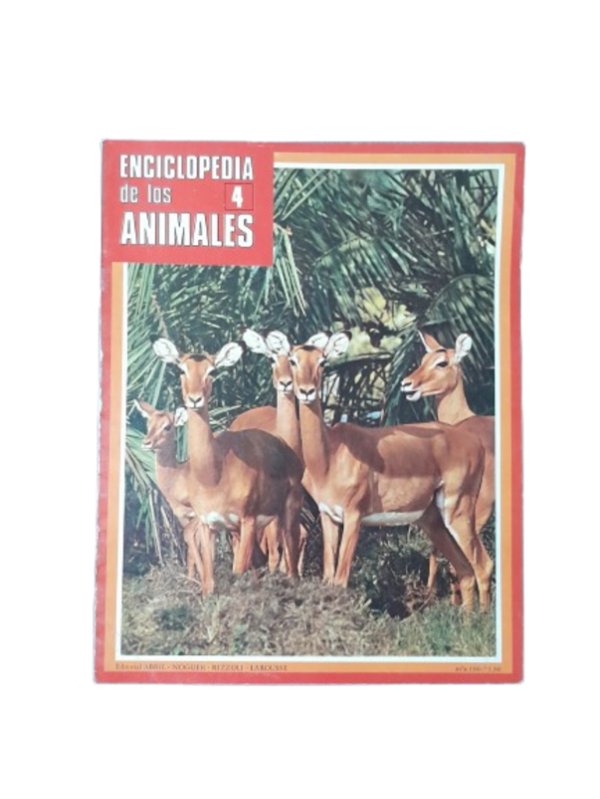 Miniatura de producto - 0