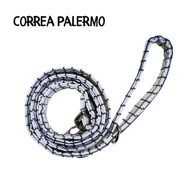 Producto - Correa PALERMO
