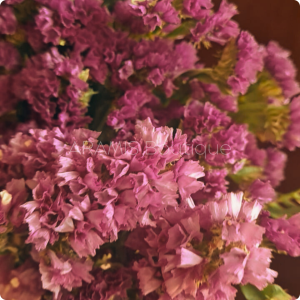 Producto - Statice Limonium Rosa