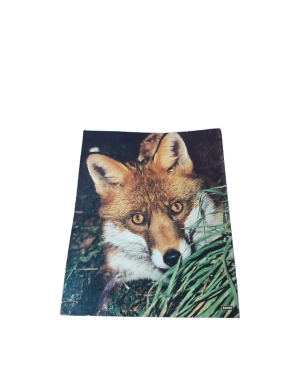 Miniatura de producto - 7