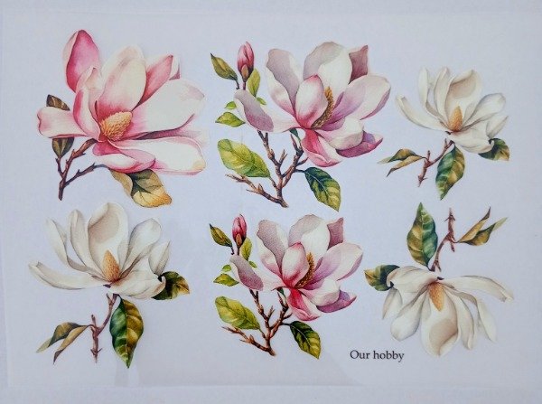 Producto - Transfolex textil FLORES SUELTAS - 1