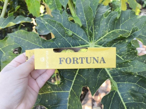 Producto - Bombitas de FORTUNA