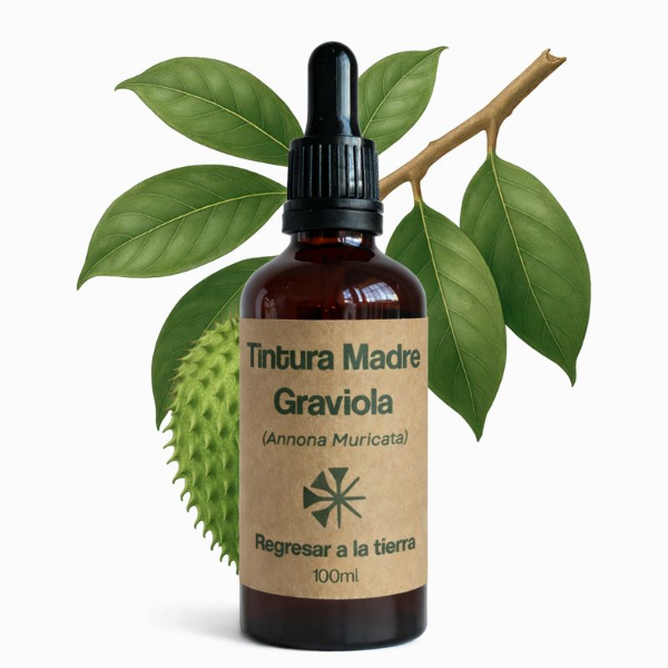 Producto - Tintura Madre de Graviola/Guanábana 100ml