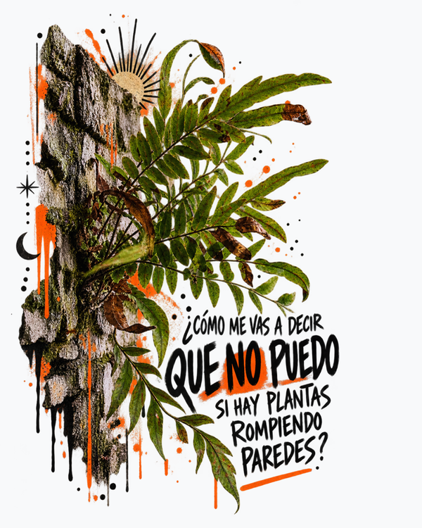 Producto - LINEA FRASES - 1