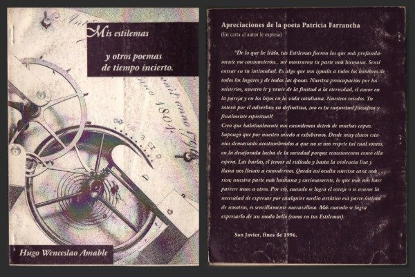 Producto - Mis estilemas, Hugo Wenceslao Amable