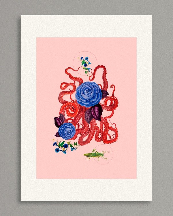 Producto - PULP AND BLUE ROSES