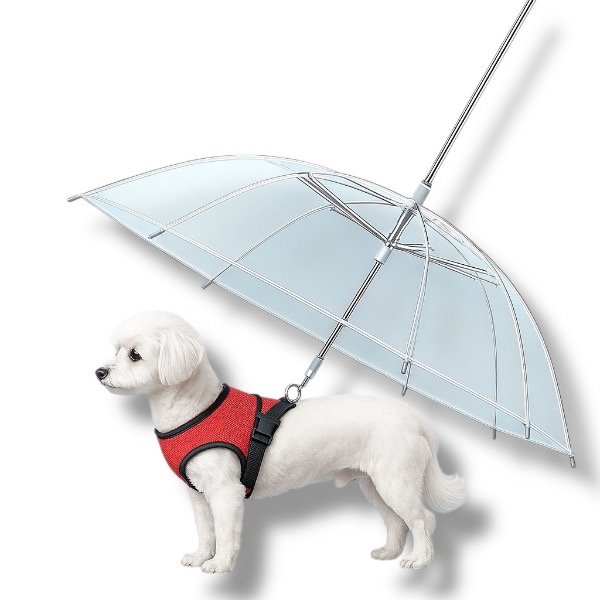 Producto - PARAGUAS CON CORREA