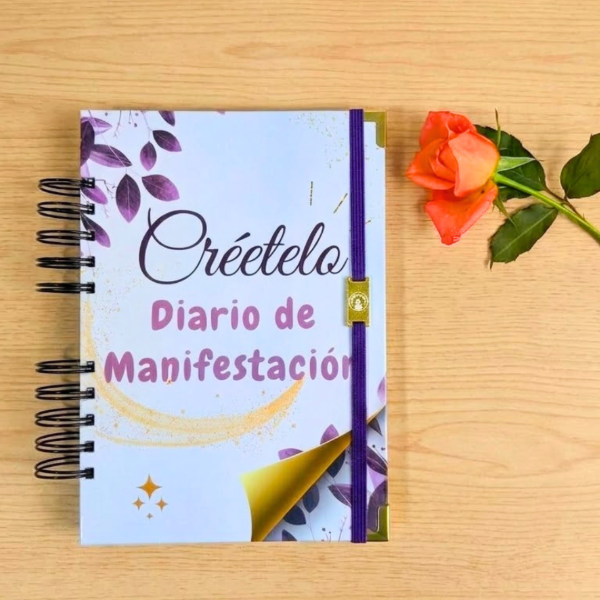 Producto - Diario de Manifestación - 2