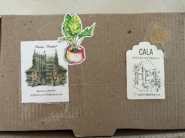 Miniatura de producto - 3