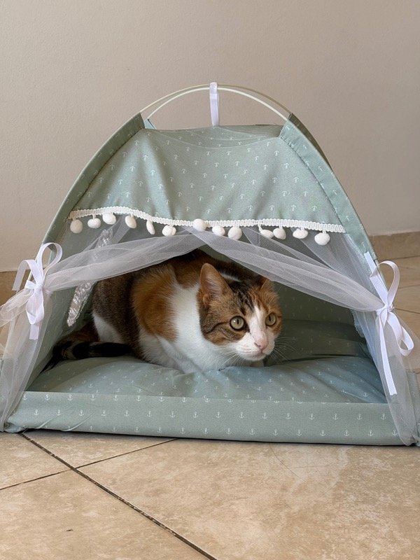 Producto - Cama modelo Carpita (verde)