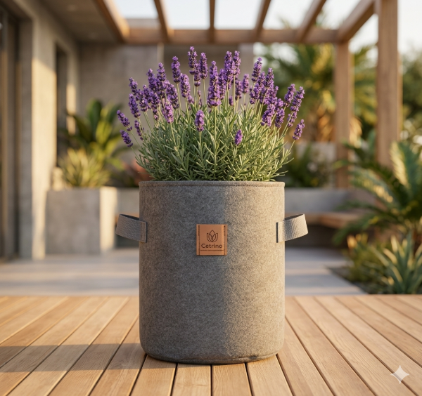 Producto - Maceta Geotextil Cetrino 30ltr Linea Green