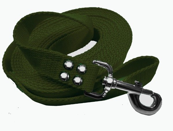 Producto - Correa de perro 5 metros 2,5 cm mosquetón reforzado vs colores - 1