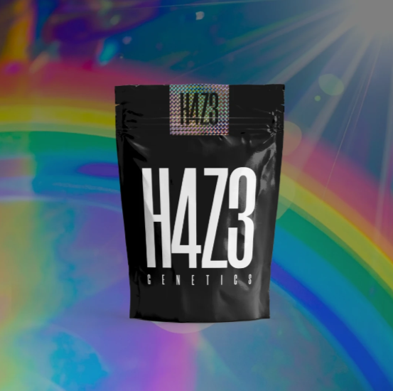 Producto - H4ZE Rainbow Autofloreciente x4