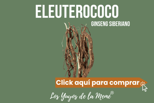 Producto - Eleuterococo, Ginseng Siberiano en cápsulas, microdosis o en doypacks. Los Yuyos