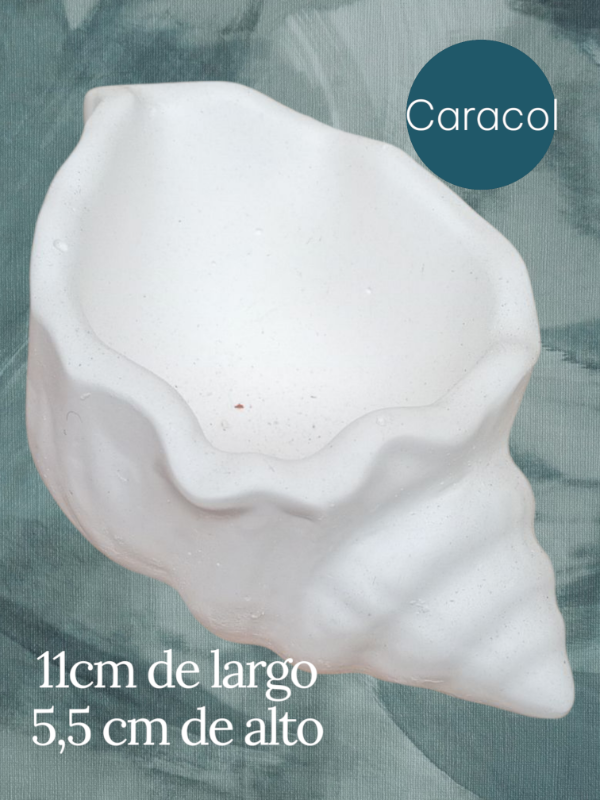 Producto - Caracol ondeado