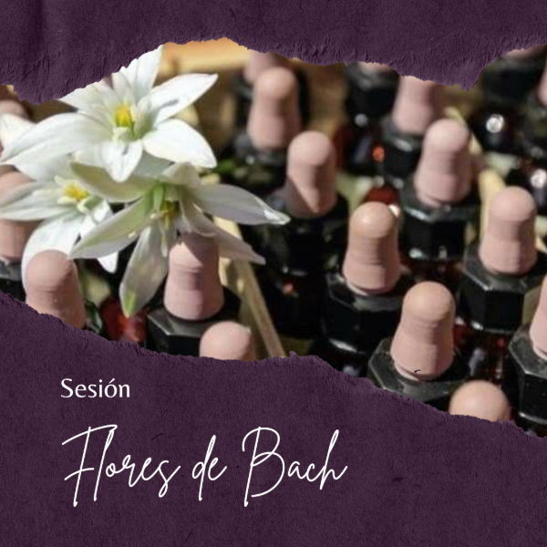 Producto - Sesion Flores de Bach