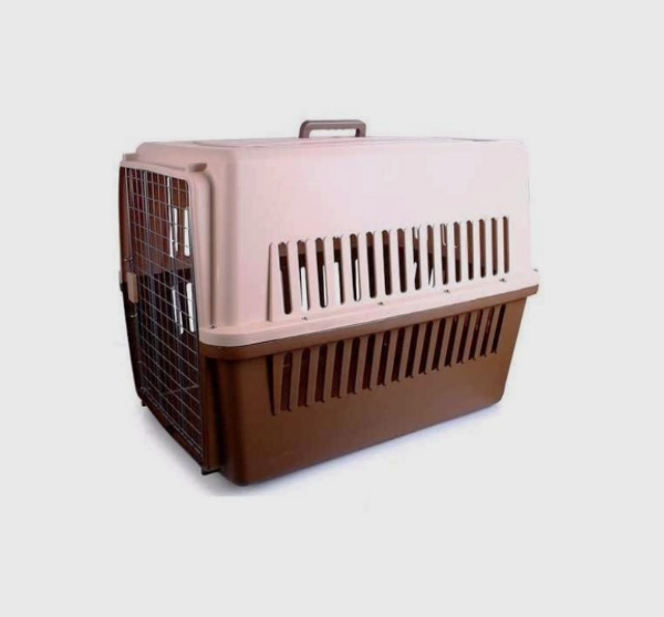 Producto - Transportadora Gloria