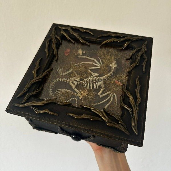 Producto - Caja con esqueleto de dragón