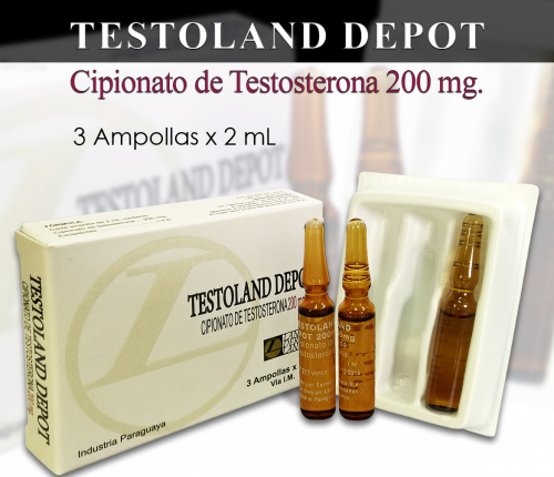 Producto - Testoland Depot 200mg Ampollas x 2ml