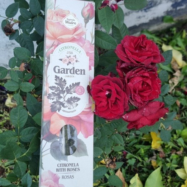 Producto - Citronella con Rosas