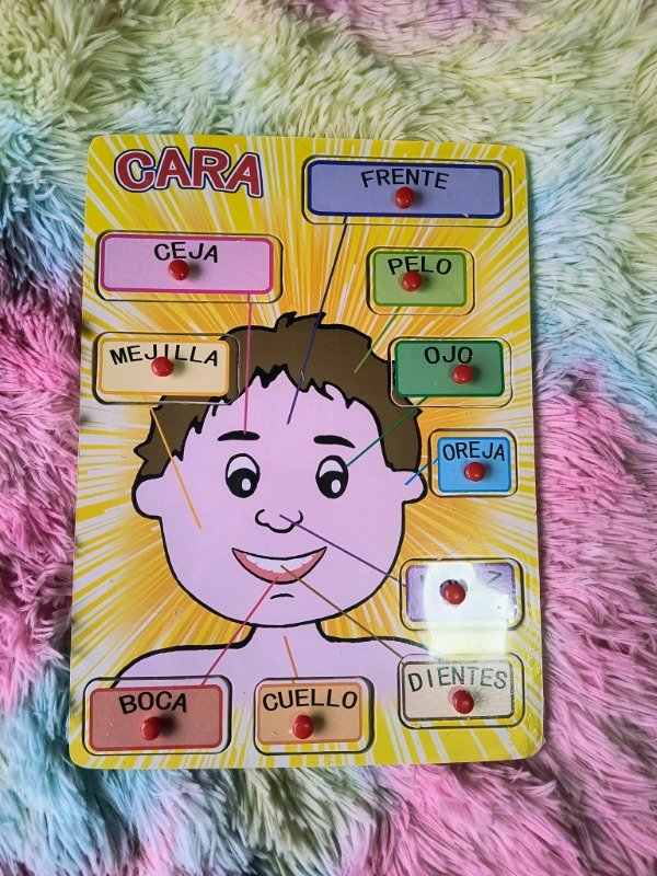 Producto - Juego de partes de la cara