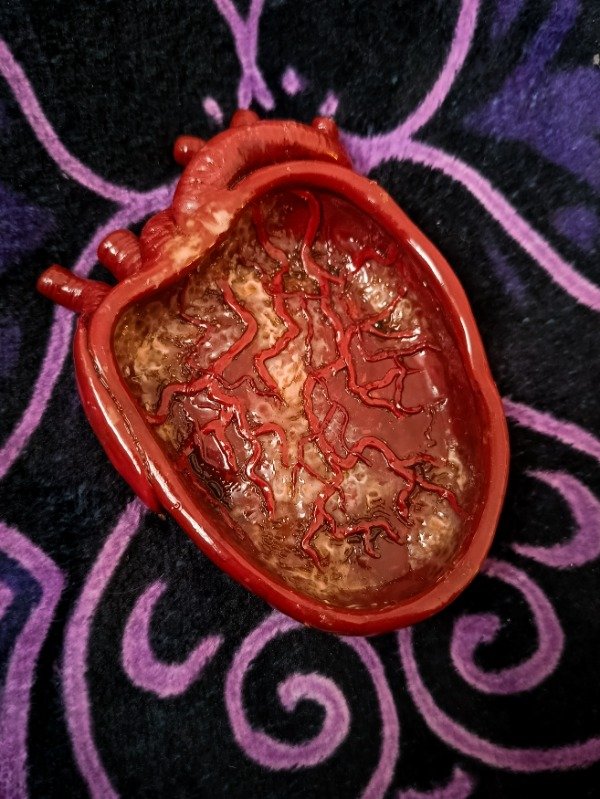Producto - Cenicero corazón anatómico