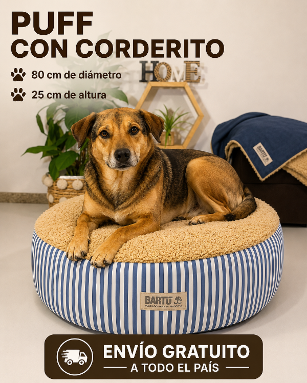 Producto - PUFF PREMIUM CELESTE Y BLANCO