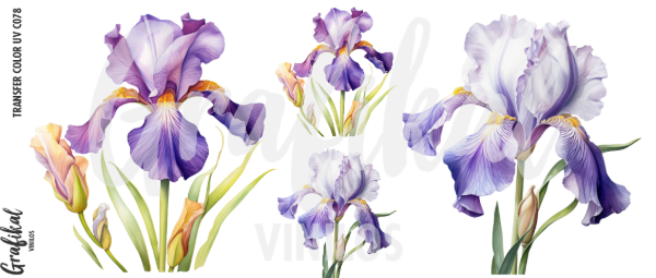 Producto - TransferColorUV C078