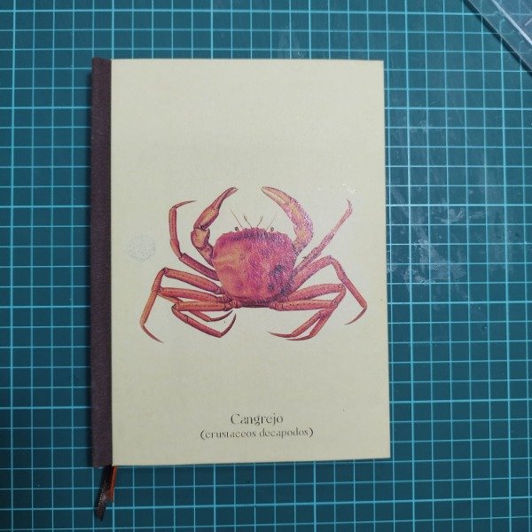 Producto - Cangrejos