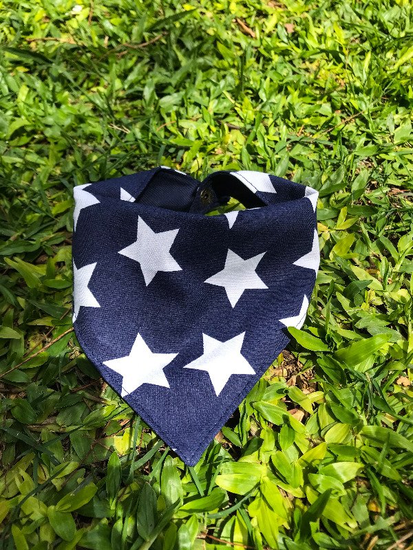 Producto - BANDANA AZUL ESTRELLAS