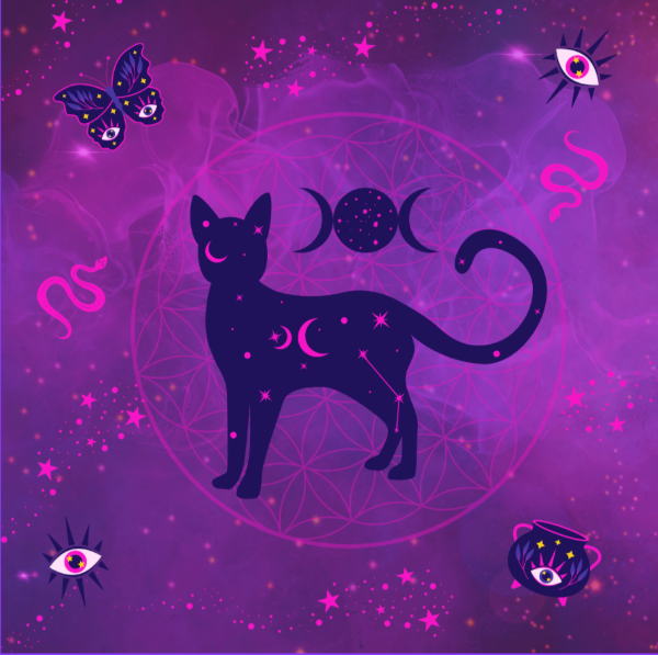 Producto - Gato y Flor de la Vida