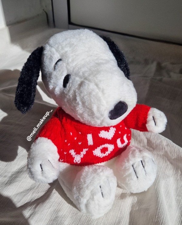 Producto - Peluche Snoopy buzo rojo