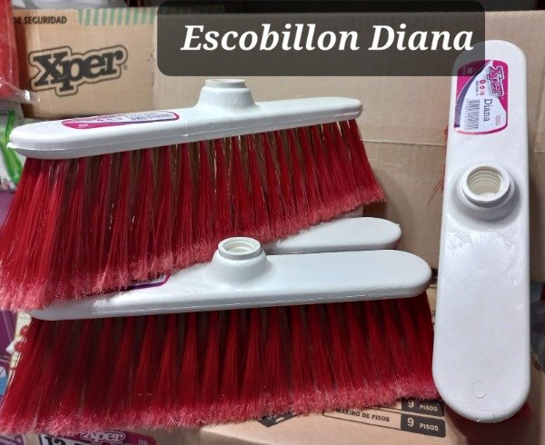 Producto - Escobillon Diana Xper