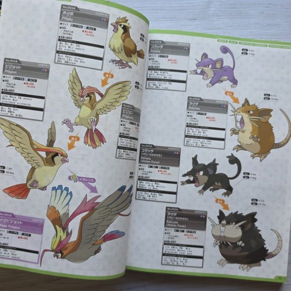 Producto - Pokémon Official National Pokédex 1996-2026 - 3