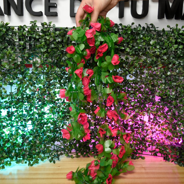 Producto - FLORES COLGANTES 2