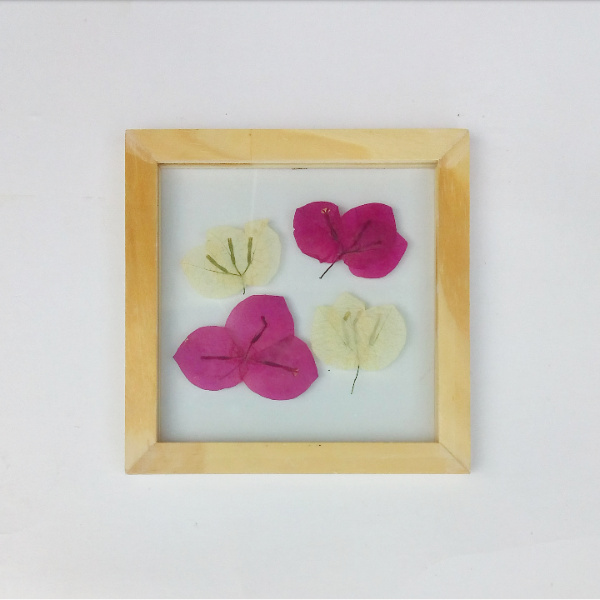 Imagen de producto - 3