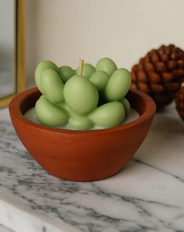 Producto - Wild plant