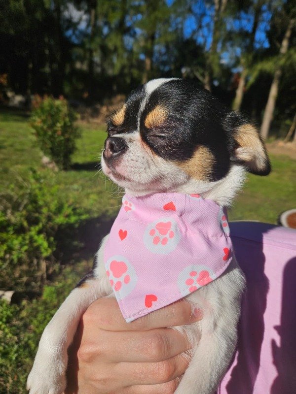 Miniatura de producto - 4