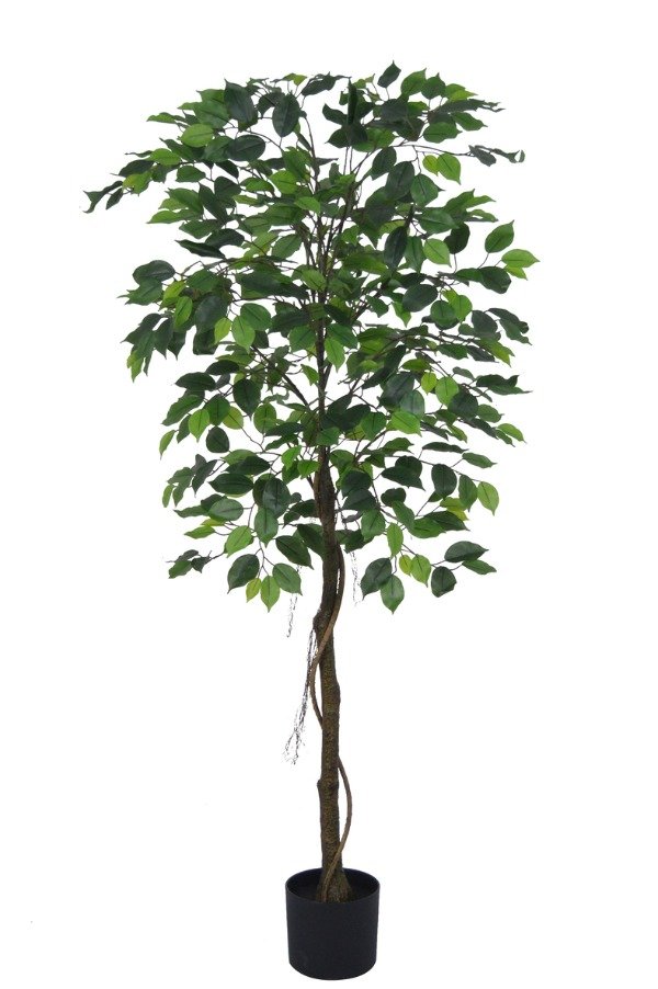 Producto - Planta Artificial Ficus ARBOL