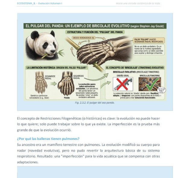 Producto - Aprende y repasa Evolución - 2