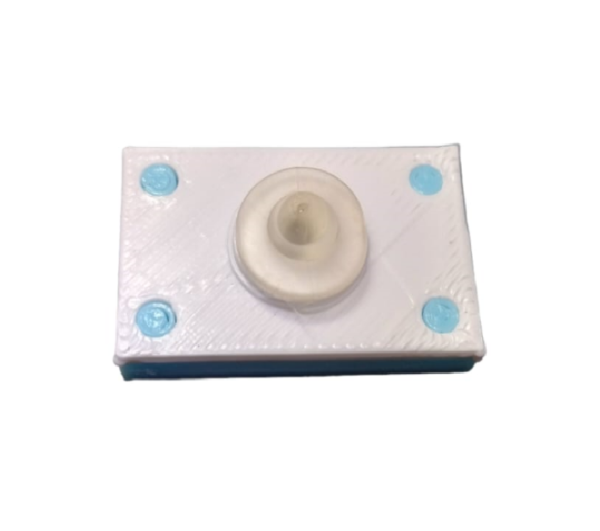 Producto - Pin Escarapela - 1