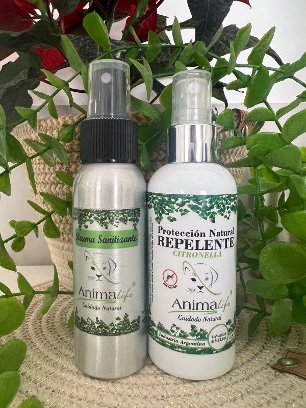 Producto - PROMOOO CON 10 OFF