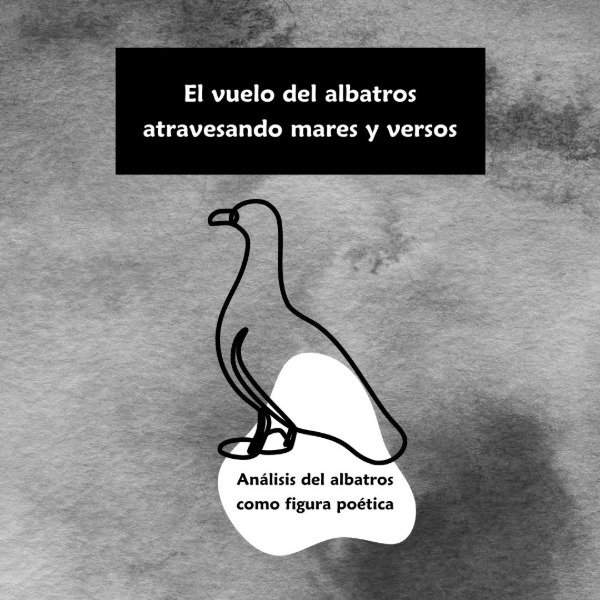 Producto - El albatros como figura poética