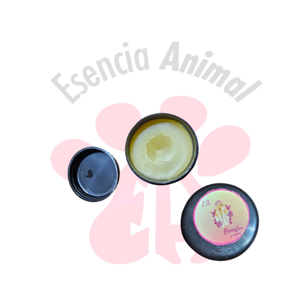 Producto - Pomada Cicatrizante
