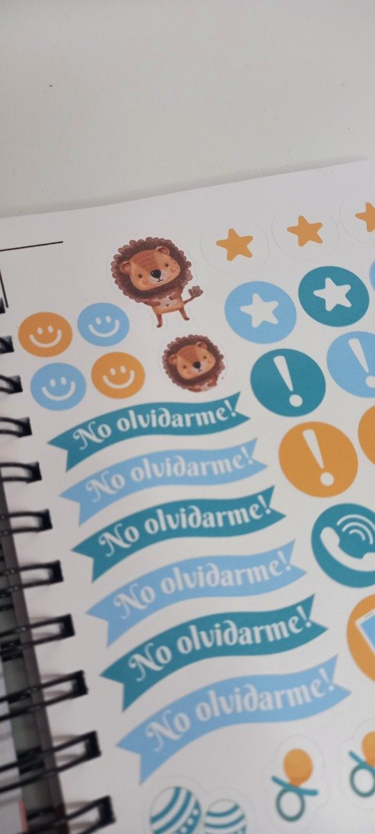 Producto - Cuaderno Pediatrico Leoncito - 4