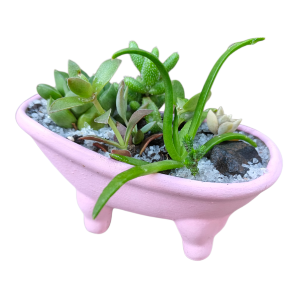 Producto - Maceta bañera rosa