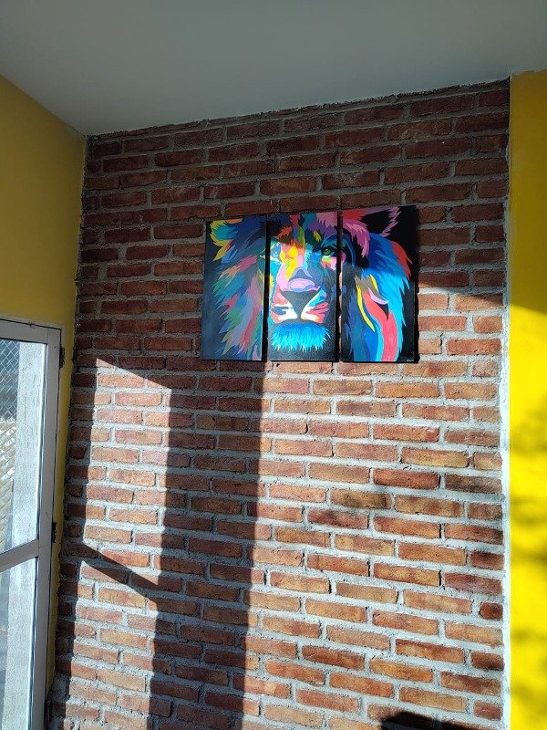 Producto - LEON TRÍPTICO - 1