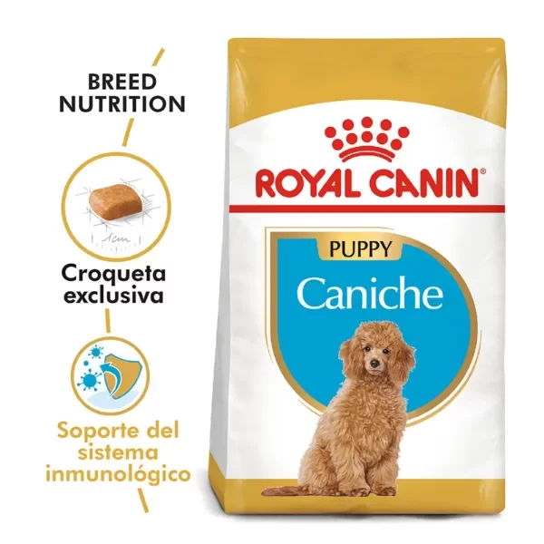 Producto - Alimento Royal Canin Caniche Junior - 1
