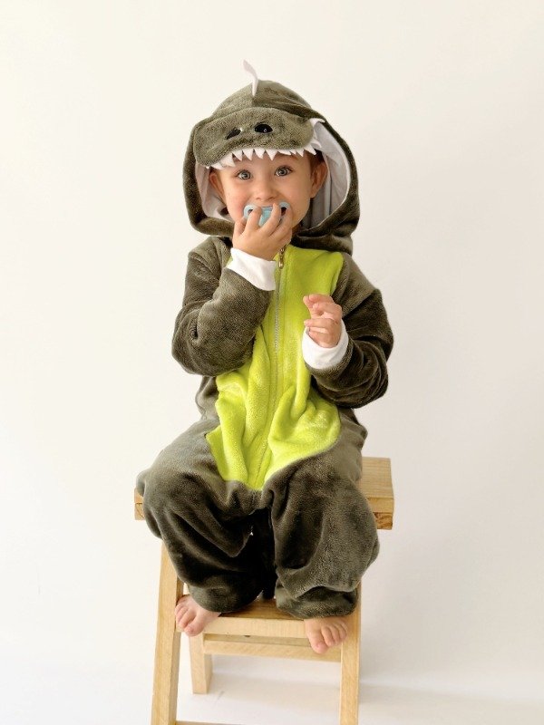 Producto - Pijama Enterito Dino