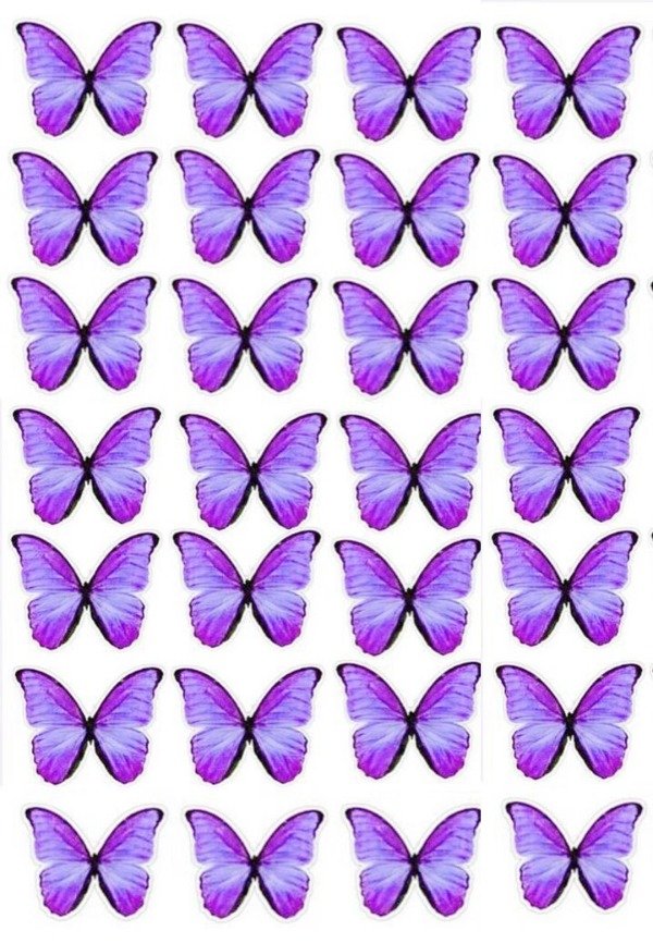 Producto - LAMINA MARIPOSA LILA 9